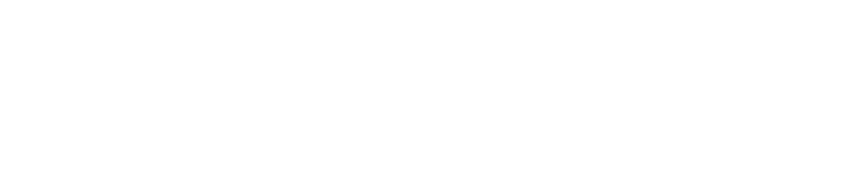 bizThon-logo